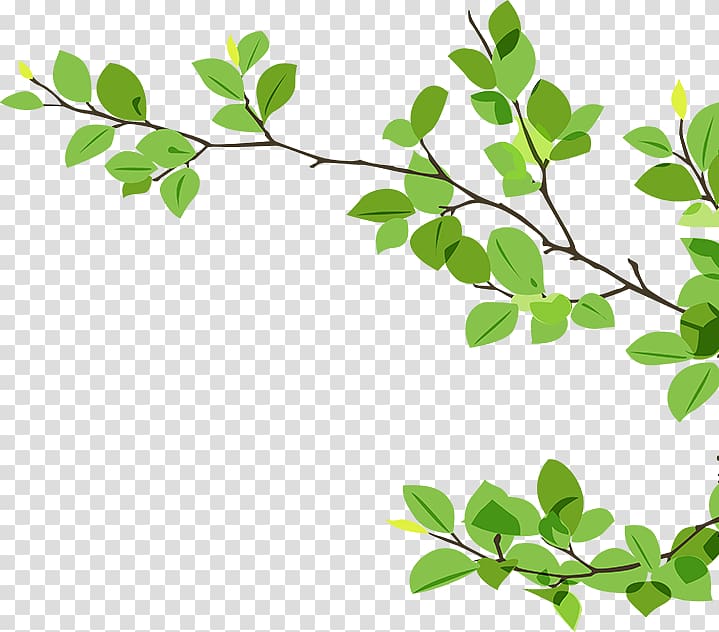 Branch Twig , green Leaves Branch transparent background PNG clipart