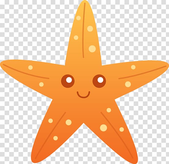 Cartoon Drawing Starfish , sea star transparent background PNG clipart