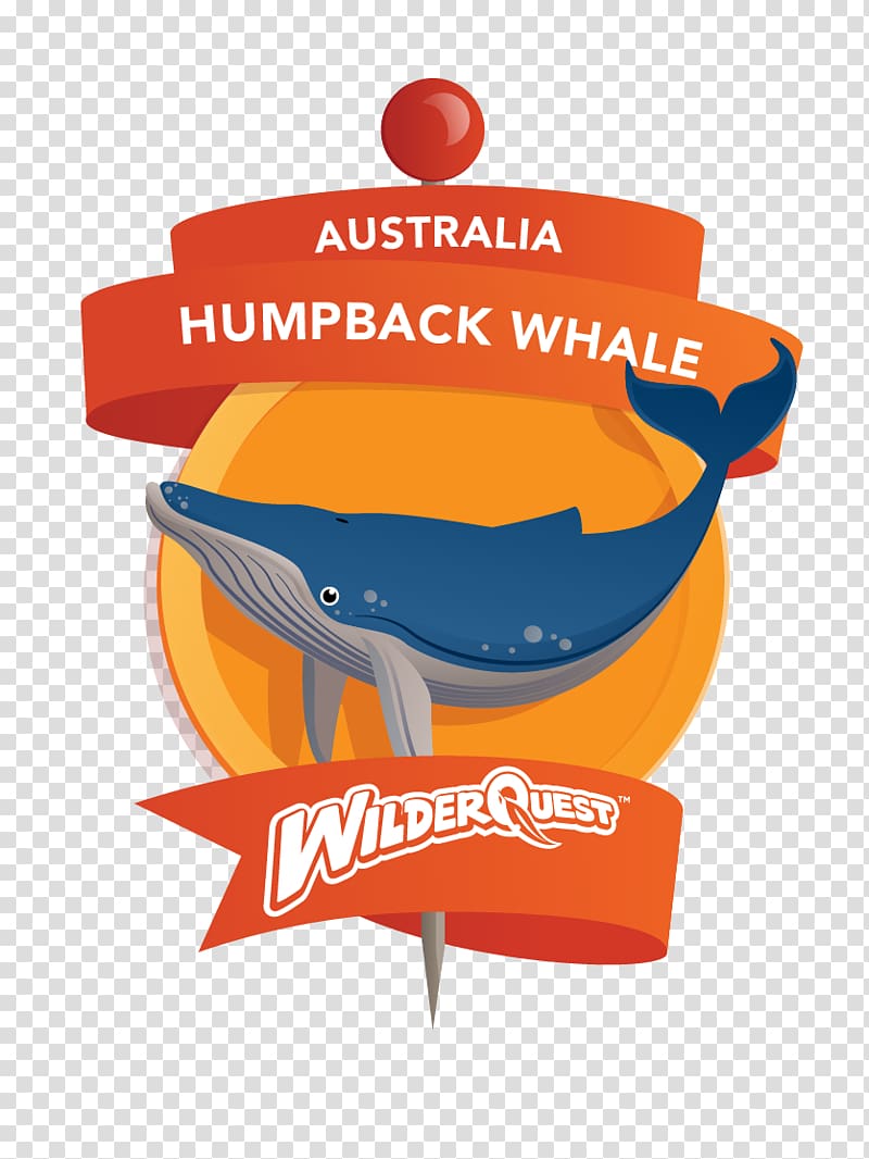 Logo Humpback whale Cetacea, humpback whale transparent background PNG clipart