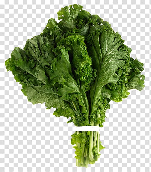 Romaine lettuce Spinach Sarson da saag Brassica juncea, vegetable transparent background PNG clipart