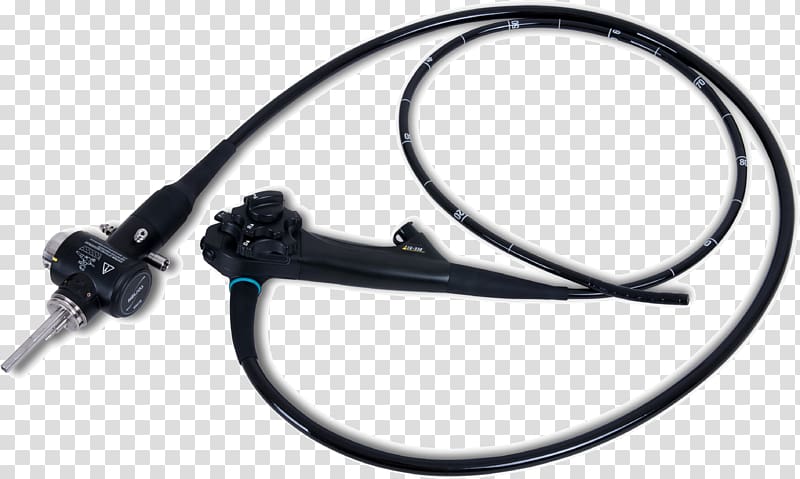 Endoscopy Esophagogastroduodenoscopy Colonoscopy Bronchoscopy Endoscope, endoscopy transparent background PNG clipart