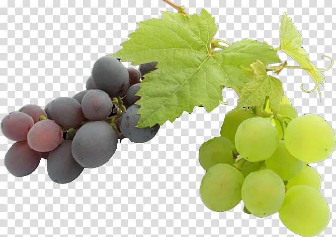 Common Grape Vine Grape seed oil Fruit, grape transparent background PNG clipart