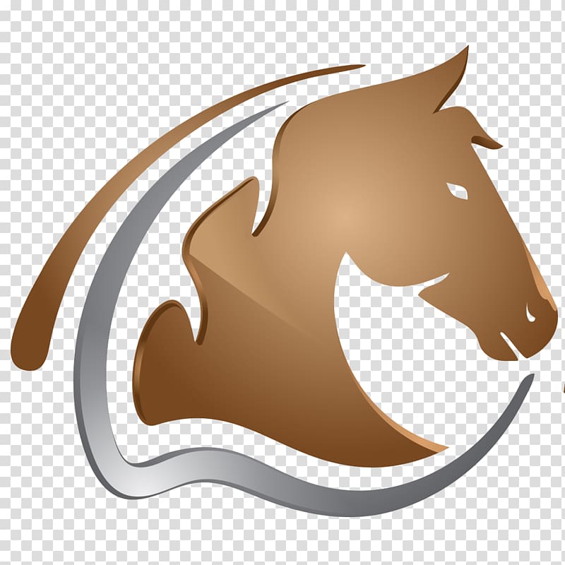 Black Hills Brehy Horse Vtacnik Mountains Hron, horse transparent background PNG clipart