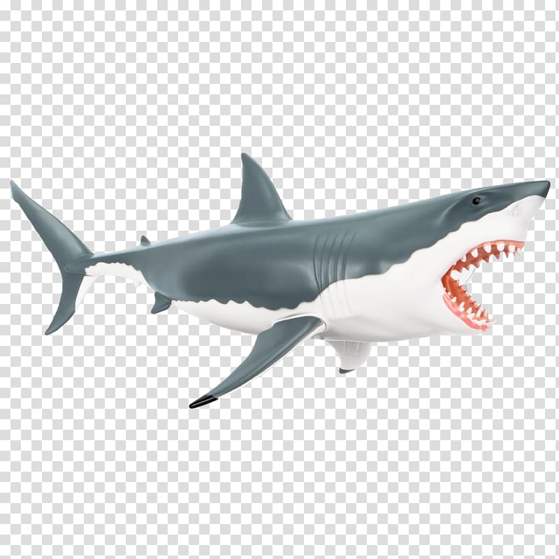 Tiger shark Great white shark Chumming Anatomy Lamniformes, Mighty Jaxx transparent background PNG clipart