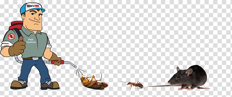 Pest Control Exterminator Rabbit-proof fence Cockroach, cockroach transparent background PNG clipart