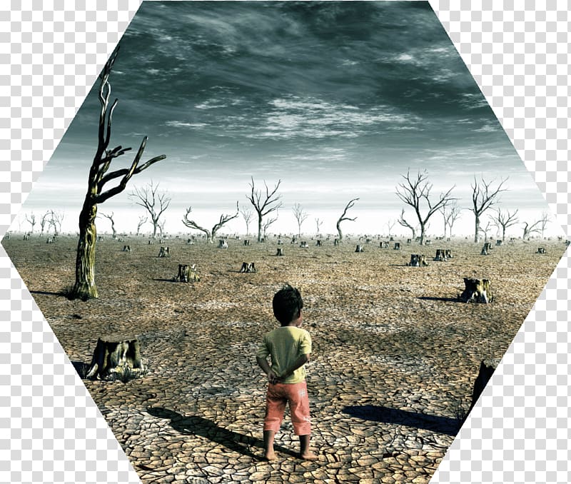 Global warming Acid rain Climate change Human impact on the environment, drought transparent background PNG clipart