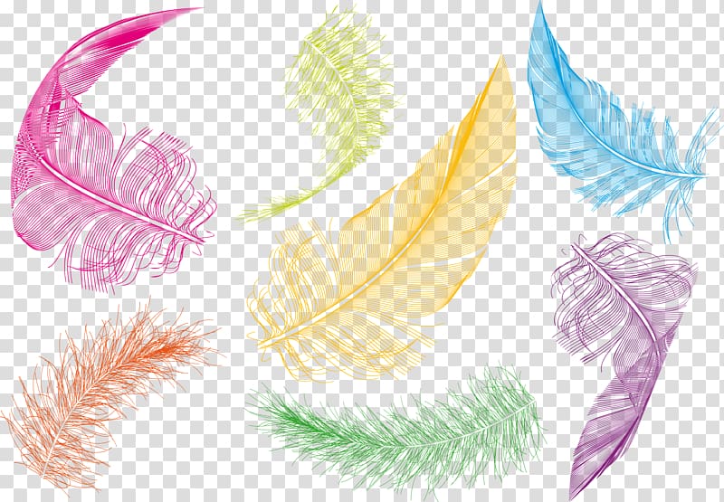 assorted-color feather illustration, Bird Feather Goose , Colored feathers transparent background PNG clipart