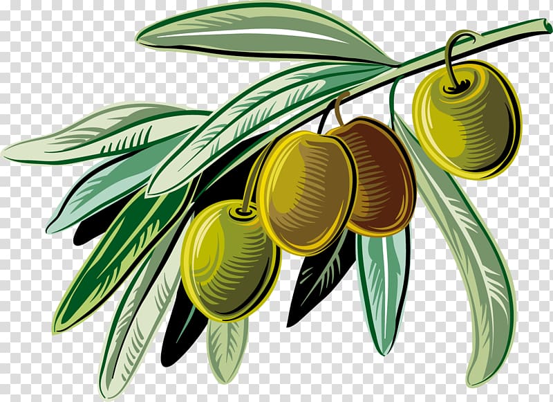 Olive oil Spaghetti with meatballs, Brown fresh olives transparent background PNG clipart