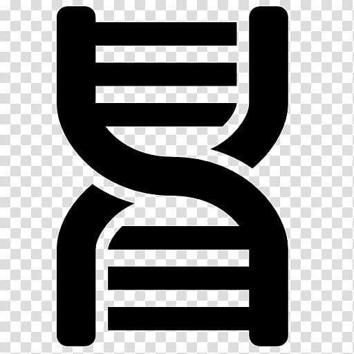 Nucleic acid sequence DNA sequencing Computer Icons Nucleic acid double helix, transparent background PNG clipart