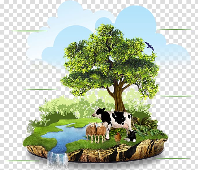 Agriculture Organic food Organic farming Natural environment, natural environment transparent background PNG clipart