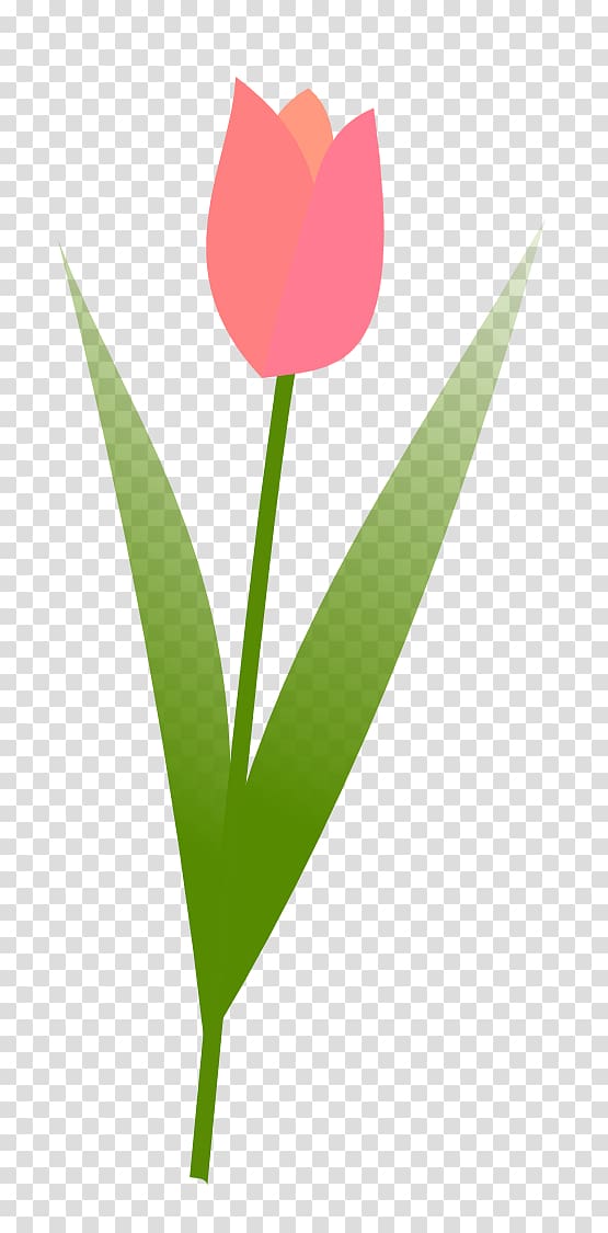 Tulip Free content Flower , Georgia Bulldogs transparent background PNG clipart