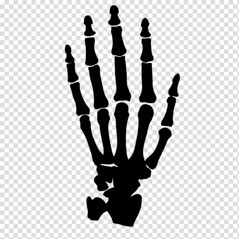 skeleton hand illustration, Human skeleton Hand , bones transparent background PNG clipart
