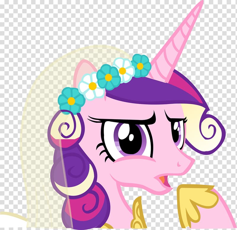 Princess Cadance Rarity A Canterlot Wedding, Part 2 The Ticket Master Friendship Is Magic, Part 2, Confused student transparent background PNG clipart