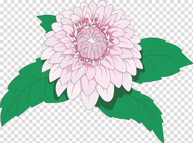 Flower Dahlia Rose, vhs transparent background PNG clipart