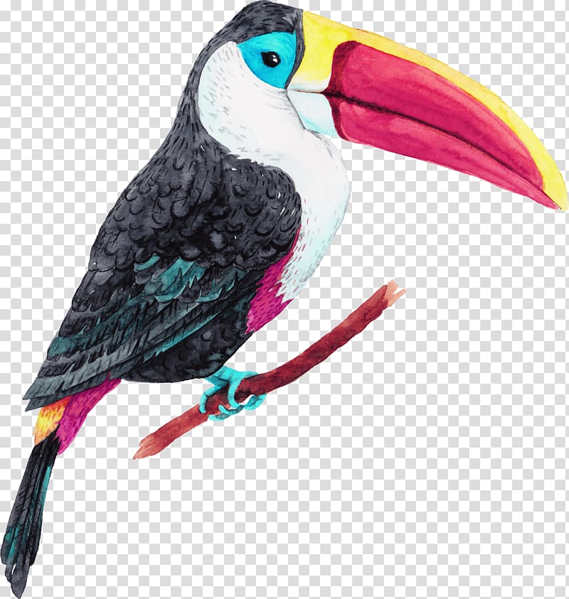 white, black, and pink toucan illustration, Jungle Island Bird Oiseaux tropicaux Parrot, Tropical Birds transparent background PNG clipart