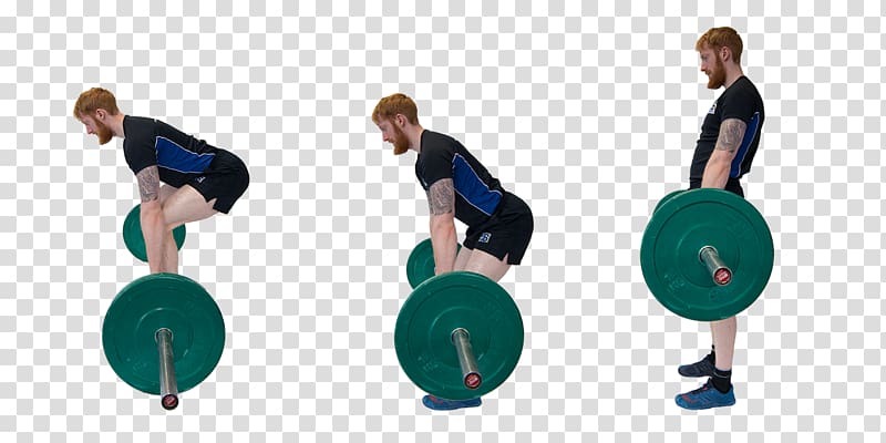 Exercise Balls Physical fitness Strength and conditioning coach Strength training 5S Fitness, fitness movement transparent background PNG clipart