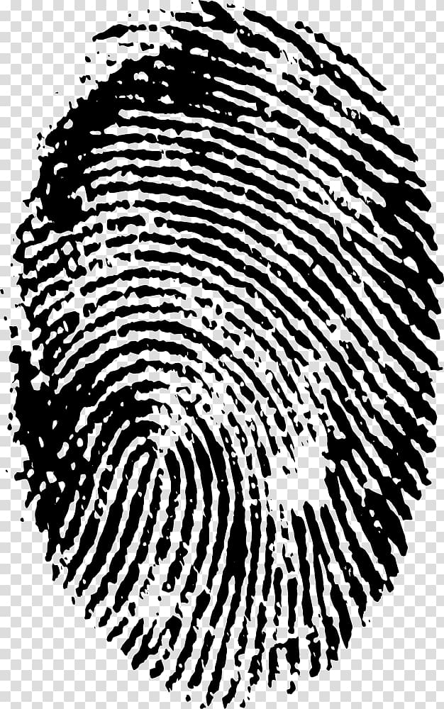 Fingerprint Spiral, finger print transparent background PNG clipart