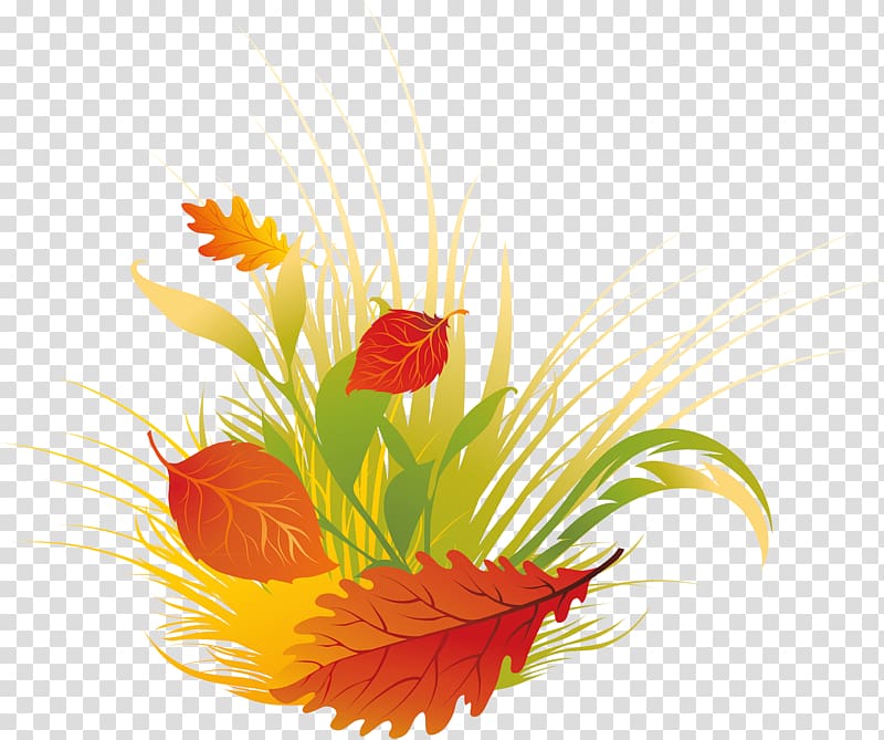 Leaf Autumn Petal Floral design Desktop , Leaf transparent background PNG clipart