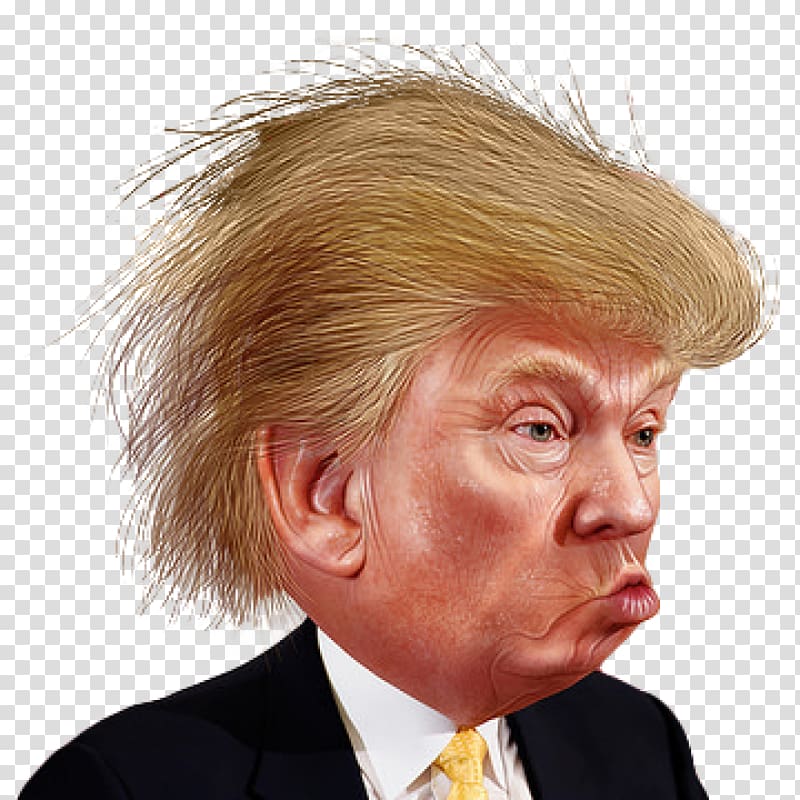 Donald Trump Portable Network Graphics Funny Face, donald trump transparent background PNG clipart