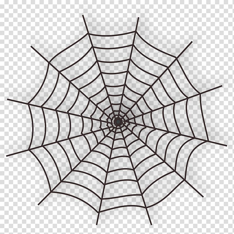 Spider web , Cobweb Free transparent background PNG clipart