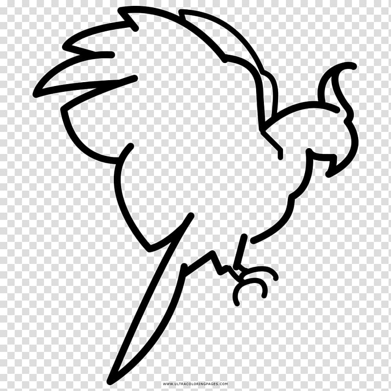 Parrot Coloring book Black and white Drawing, parrot transparent background PNG clipart