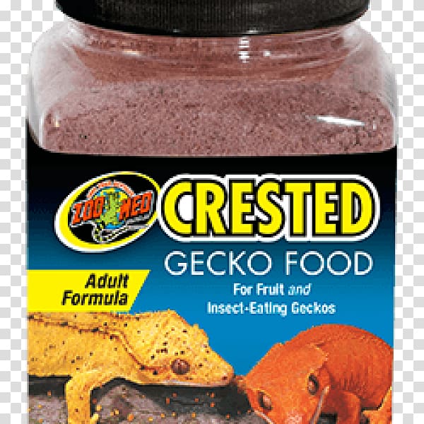 Reptile Crested gecko Food Rhacodactylus, lizard transparent background PNG clipart