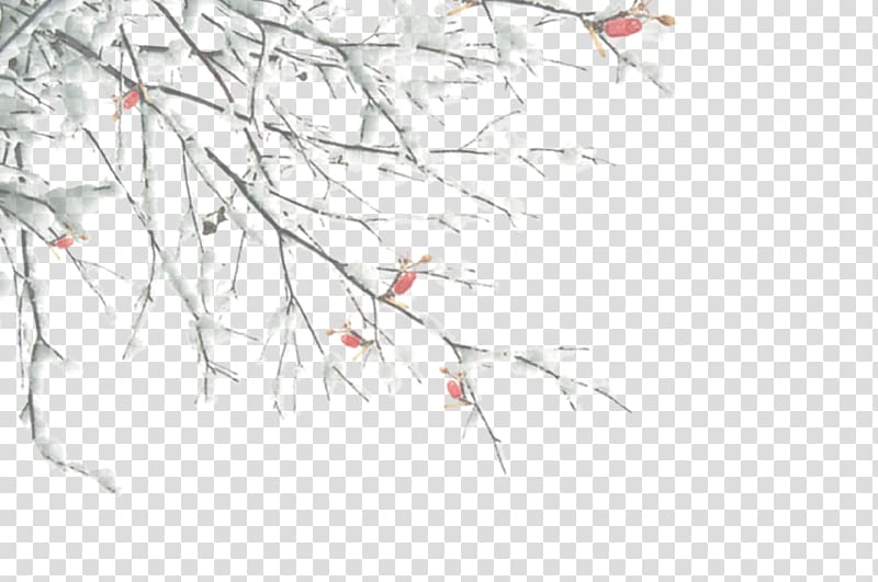 winter tree branches transparent background PNG clipart