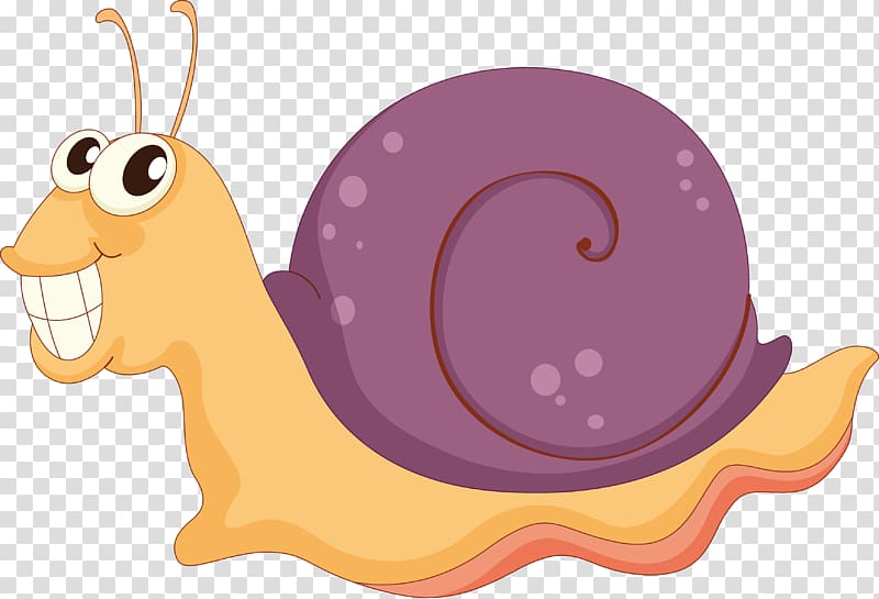 Illustration Molluscs Snail Animal , Snail transparent background PNG clipart