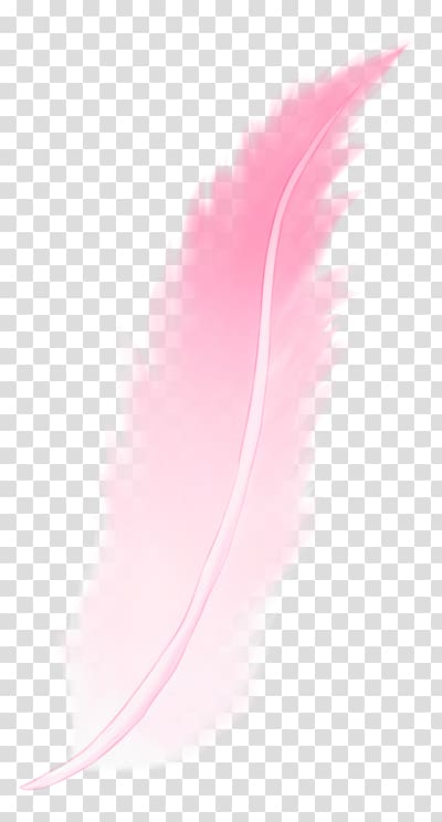 Desktop Pink M Feather Close-up Computer, Pink feathers transparent background PNG clipart