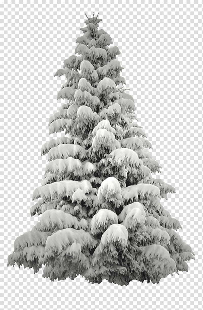 Christmas Winter Grace Randolph\'s Supurbia, chris pine transparent background PNG clipart