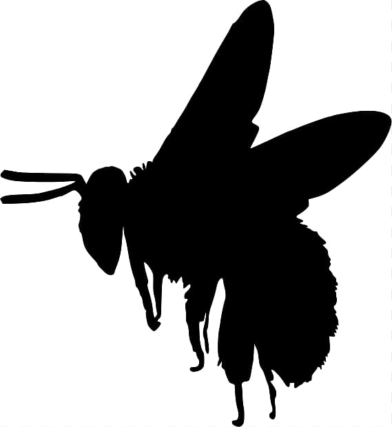 European dark bee Silhouette Bumblebee , Bee Silhouette transparent background PNG clipart