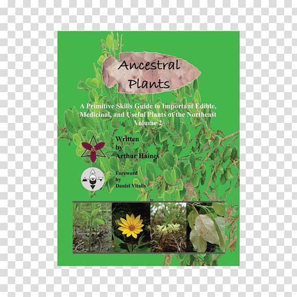 Ancestral Plants: A Primitive Skills Guide to Important Edible, Medicinal, and Useful Plants A New Path: To Transcend the Great Forgetting Through Incorporating Ancestral Practices Into Contemporary Living Common Edible and Useful Plants of the West Eat t, plant transparent background PNG clipart