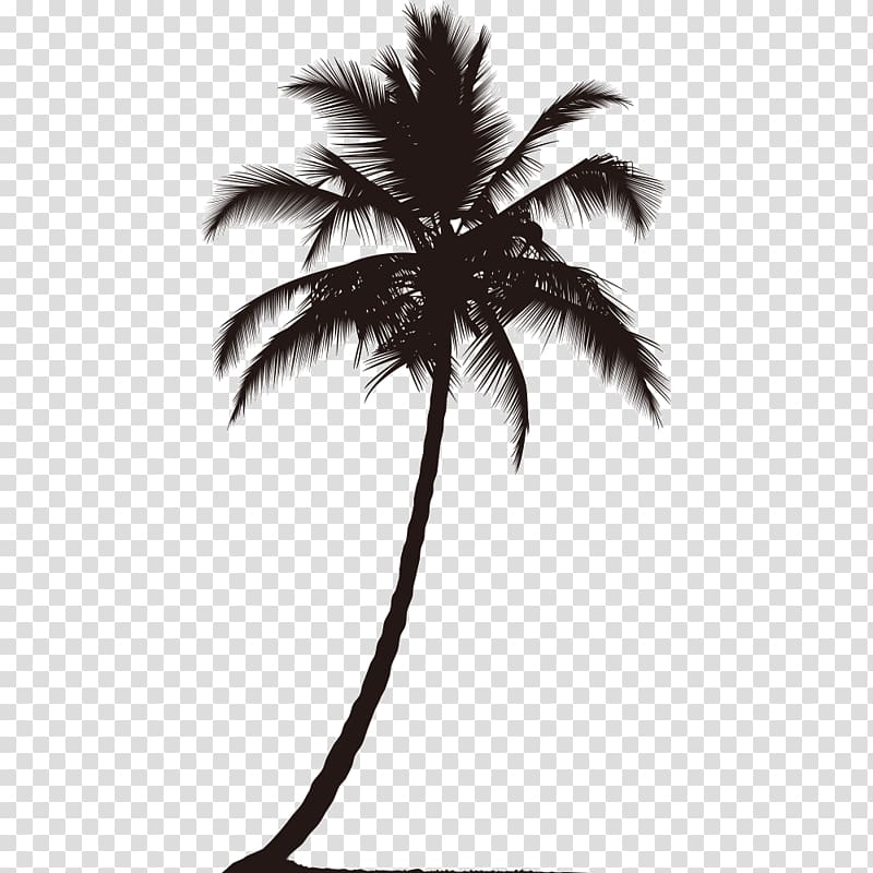 coconut trees silhouette transparent background PNG clipart