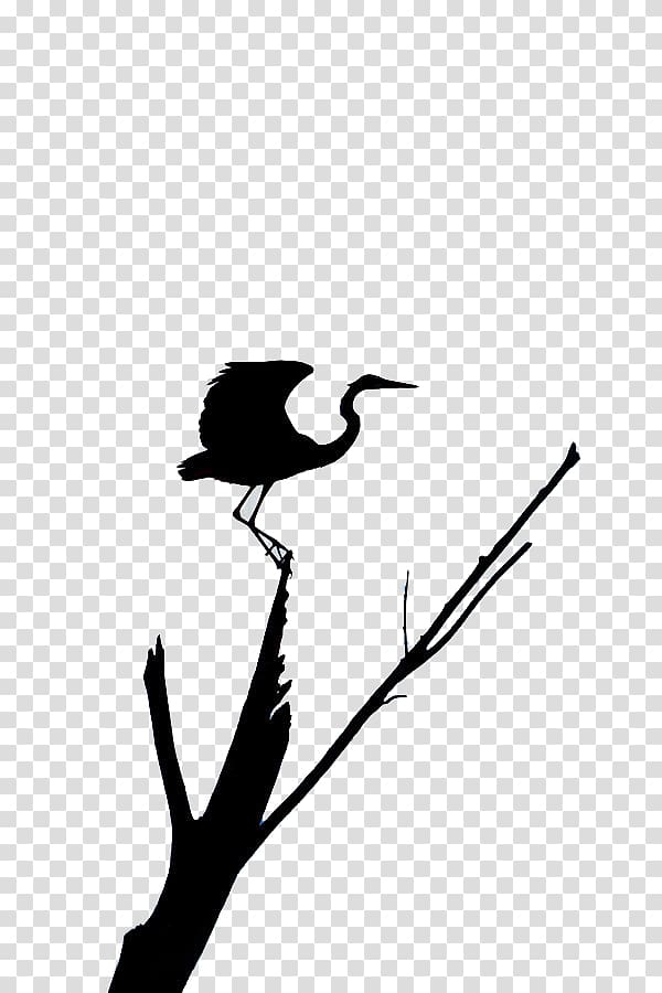 Supermoon Heron Full moon Moonlight, Crane Movies transparent background PNG clipart