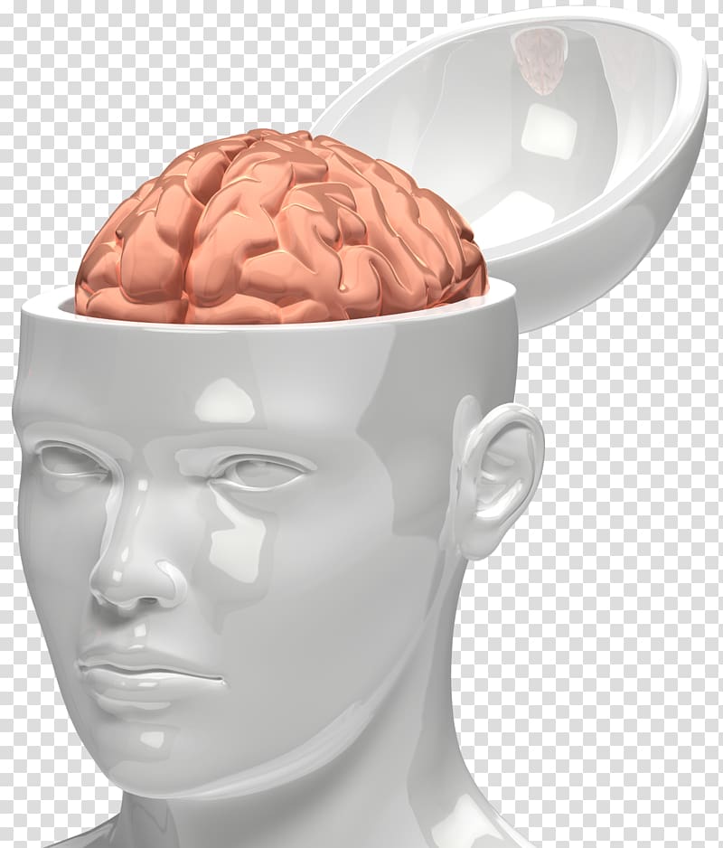Animation Drawing , Brain transparent background PNG clipart