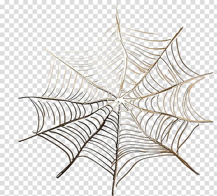 Spider web Spider silk Paper , spider transparent background PNG clipart