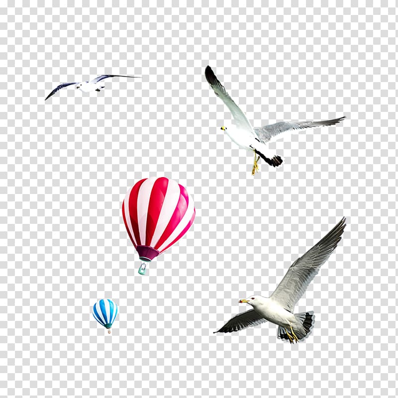 Flight Bird Airplane Sky Balloon, Sky Eagle material transparent background PNG clipart