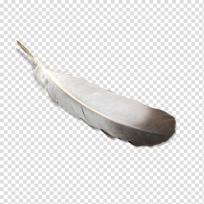 Bird Feather Quill Pen, feather transparent background PNG clipart