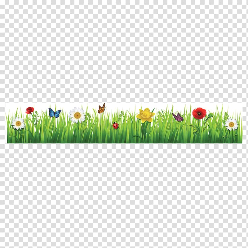 Tulip Flower Meadow , tulip transparent background PNG clipart