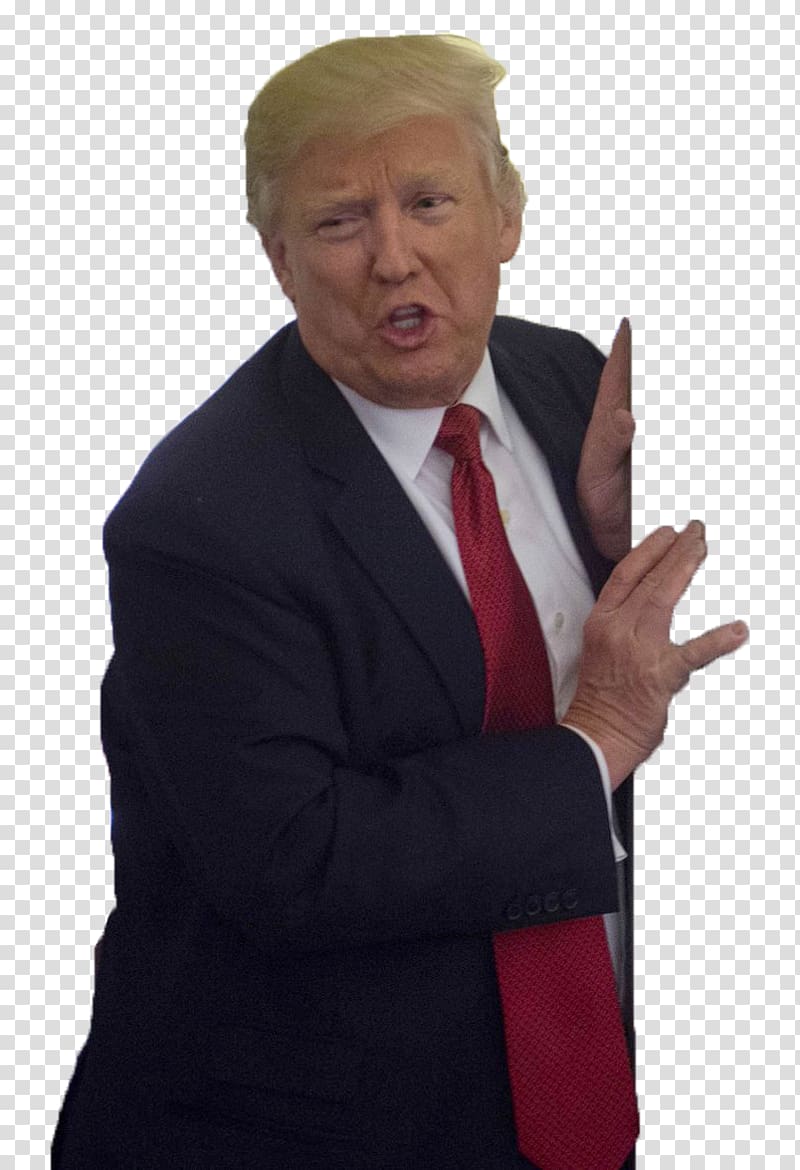 Donald Trump, Donald Trump President of the United States Businessperson, donald trump transparent background PNG clipart