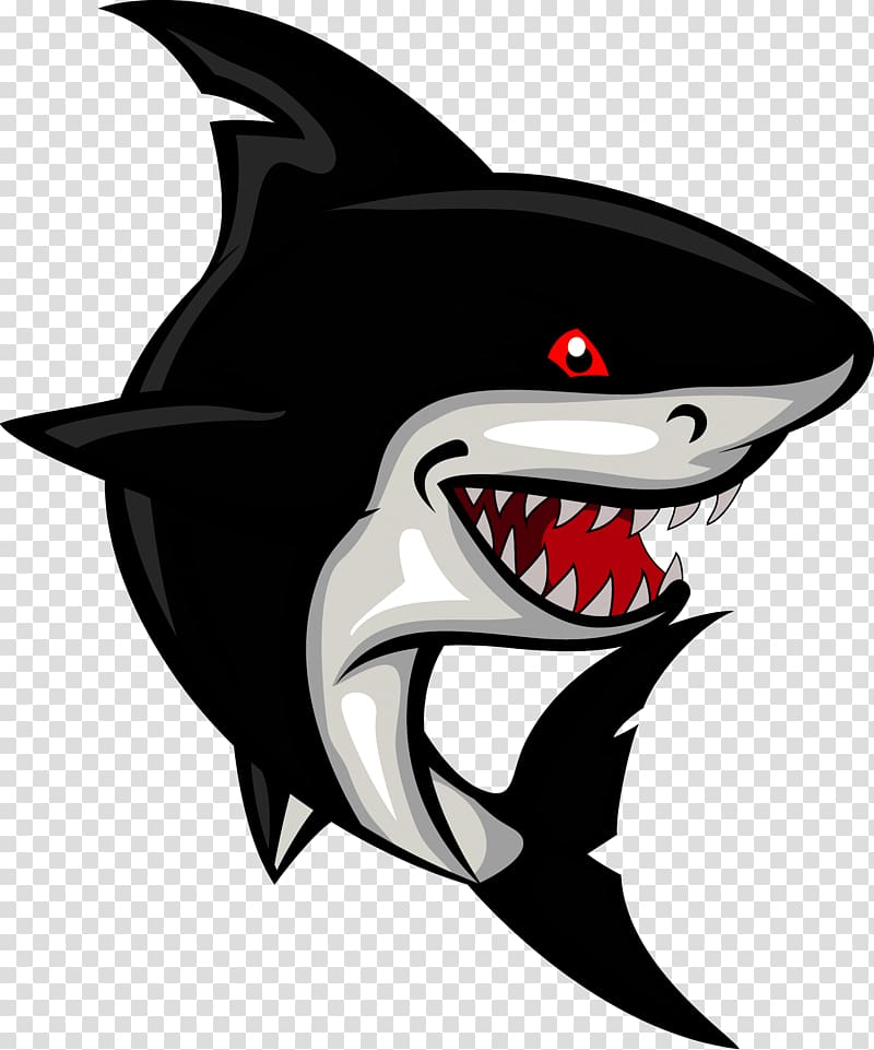 Shark Cartoon , shark transparent background PNG clipart
