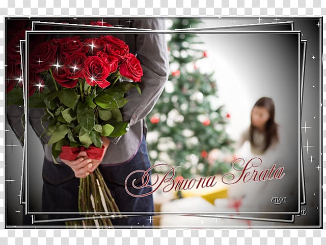 Garden roses Falling in love Man Gift, festa della donna transparent background PNG clipart