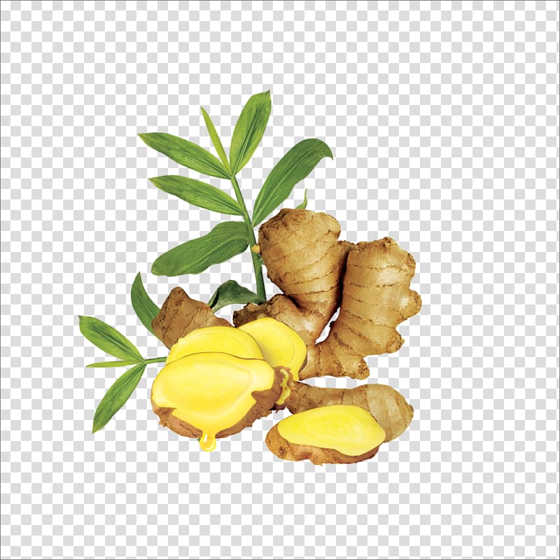 sliced ginger, Ginger oil Human hair growth Extract, ginger transparent background PNG clipart
