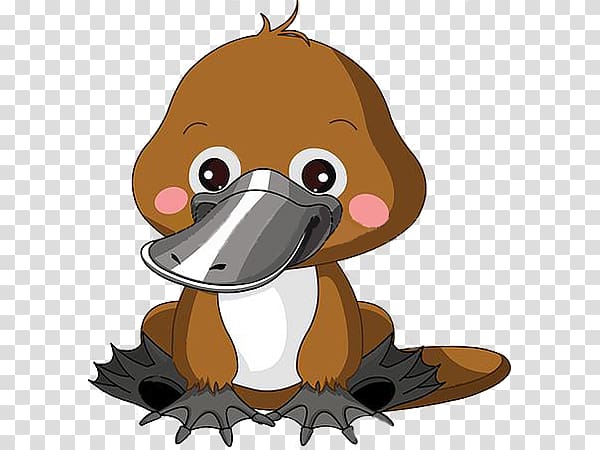 Perry the Platypus , platypus transparent background PNG clipart