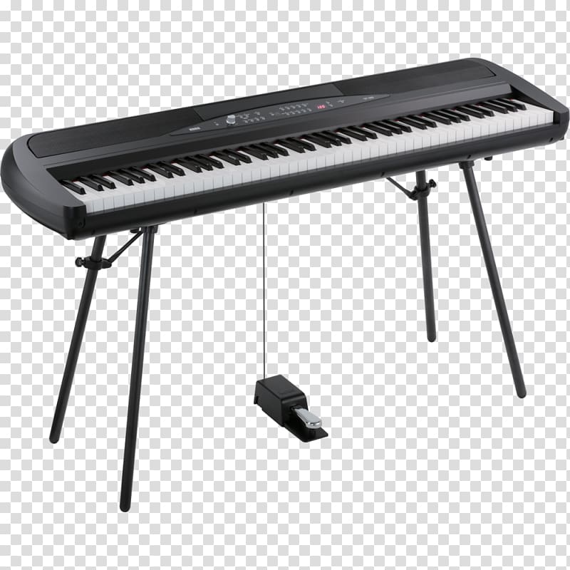 Korg SP-280 Digital piano Electric piano Stage piano, piano transparent background PNG clipart