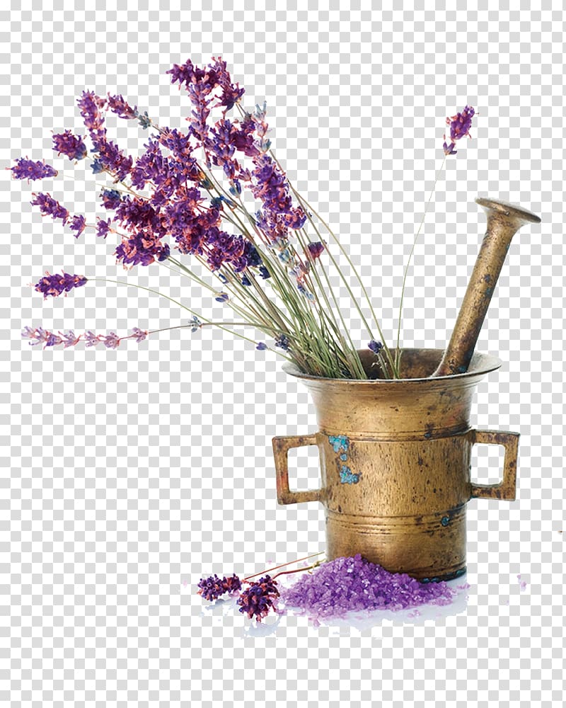 lavender flower material transparent background PNG clipart