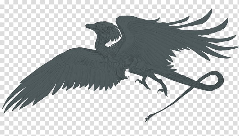 Dragon Legendary creature Drawing Line art, magpie bird transparent background PNG clipart