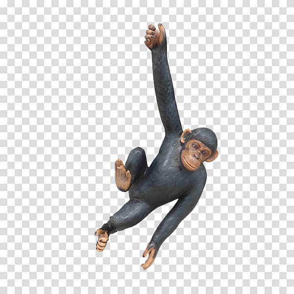 Primate Great apes Animal, chimpanzee transparent background PNG clipart