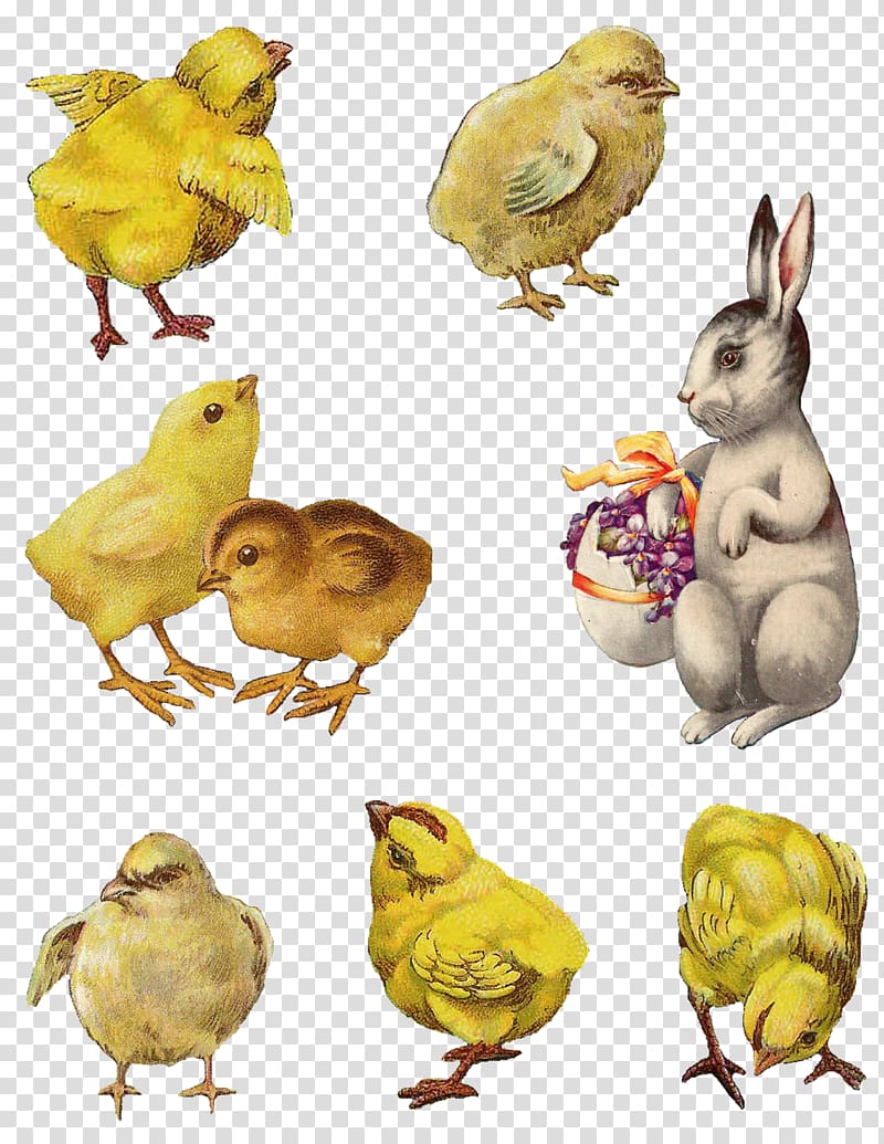 Easter Collage Cardmaking , watercolor rabbit transparent background PNG clipart