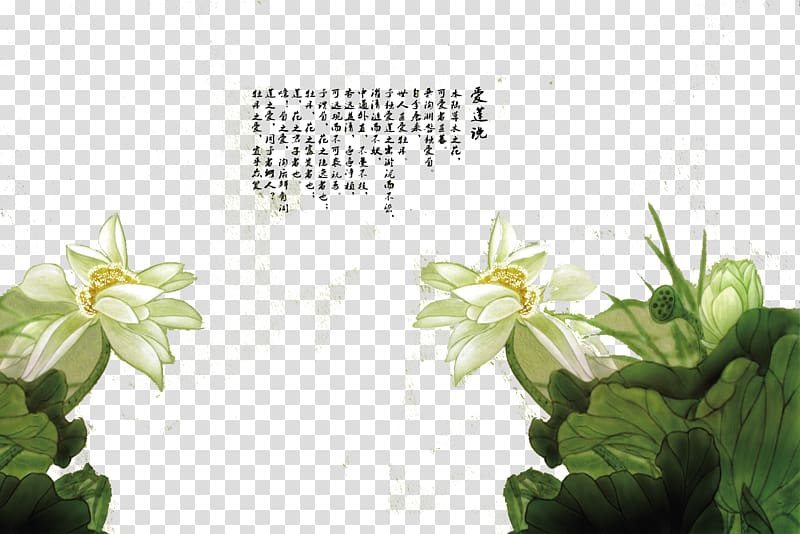 Green Nelumbo nucifera u611bu84eeu8aaa Mural, Dark green background water lotus transparent background PNG clipart